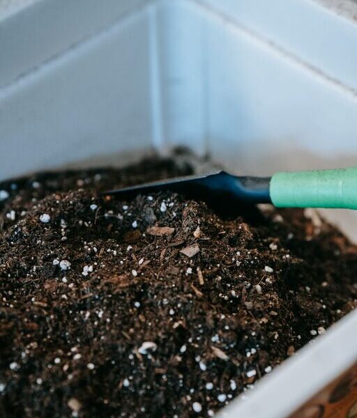 Post: Beginner tips for composting at home